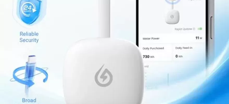 Inteligentní poznatky, inteligentní síla: solarman p1 proměňuje energetické údaje v akční inteligenci.